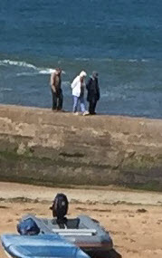 F Rib 360 Foldable Rib